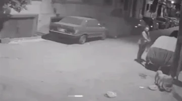 القبض على مدير بنك شهير بتهمة إطلاق الرصاص على كلب في واقعة صادمة